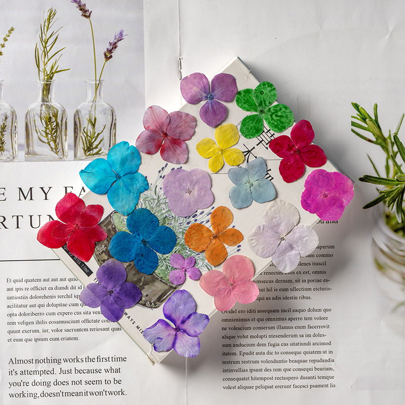 60Pcs Anna Hydrangea Color-Abs - đánh giá và giá Resin Art For Photo Frame
