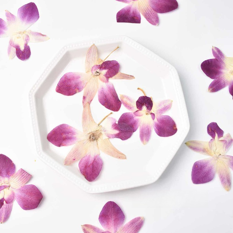 4pcs,Real Pressed Butterfly Or - đánh giá và giá Resin Art For Photo Frame