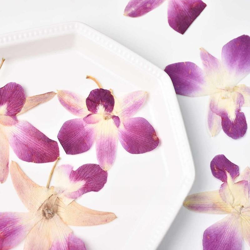4pcs,Real Pressed Butterfly Or - đánh giá và giá Resin Art For Photo Frame