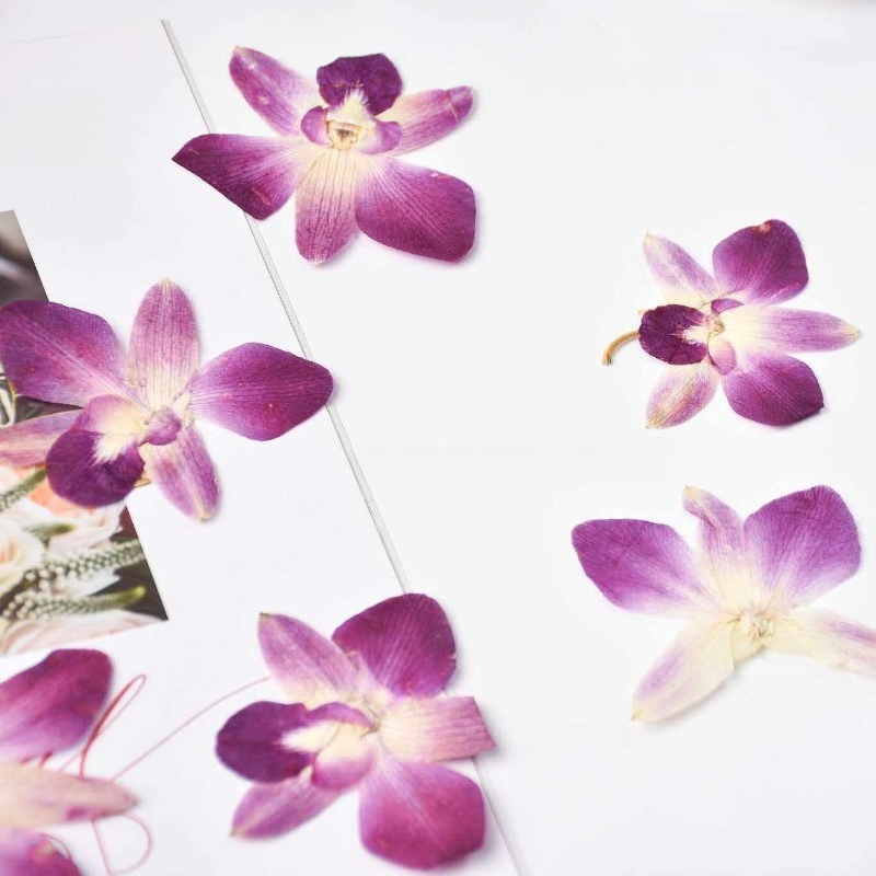 4pcs,Real Pressed Butterfly Or - đánh giá và giá Resin Art For Photo Frame