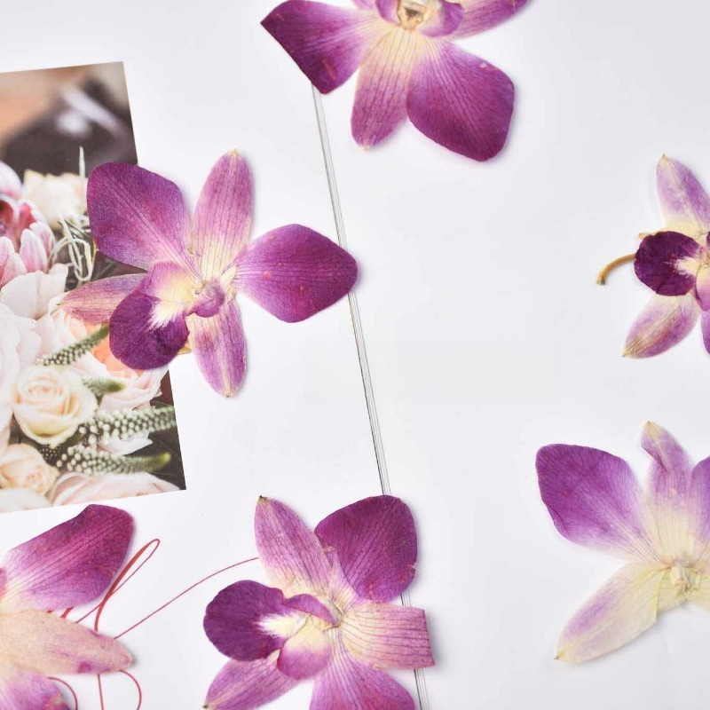 4pcs,Real Pressed Butterfly Or - đánh giá và giá Resin Art For Photo Frame