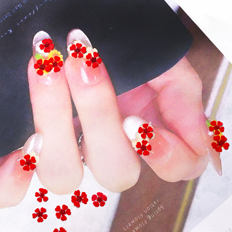 96Pcs Mini 1.5cm Natural Press - đánh giá và giá Resin Art For Photo Frame