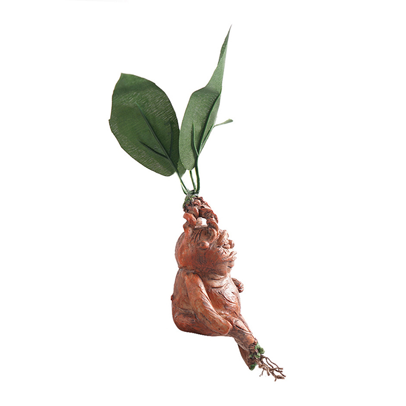 1PCS Mandrake Grass Resin Stat - đánh giá và giá Resin Art For Anniversary Gift